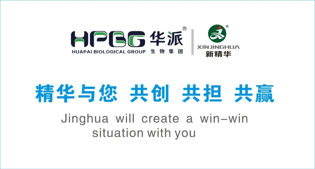 企业简介 |华派集团•鸿运国际药业（成都）有限公司