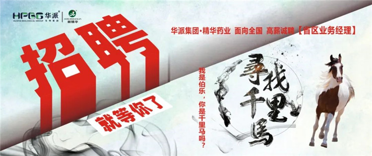寻找千里马 | 华派集团•鸿运国际药业面 向天下高薪诚聘【省区营业司理】 我是伯乐，，你是千里马吗？？