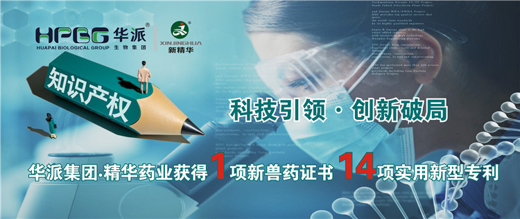 科技引领•立异破局 | 华派集团•鸿运国际药业获得1项新兽药证书 14项适用新型专利