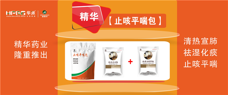 科普：畜禽呼吸道疾病的防控手艺 |【止咳平喘包】清热宣肺、祛湿化痰、止咳平喘，，，，，畜禽呼吸道疾病引起的种种咳喘防控首选。。。。