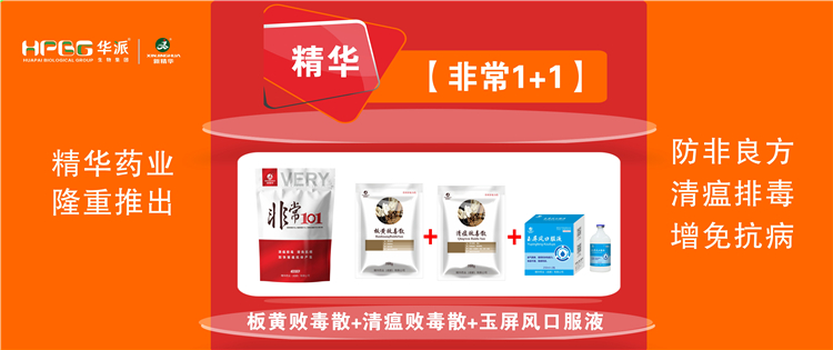 科普：非洲猪瘟防控步伐 |【很是1+1】防非良方, 清瘟排毒、增免抗病，，，，，加速猪瘟抗体爆发!