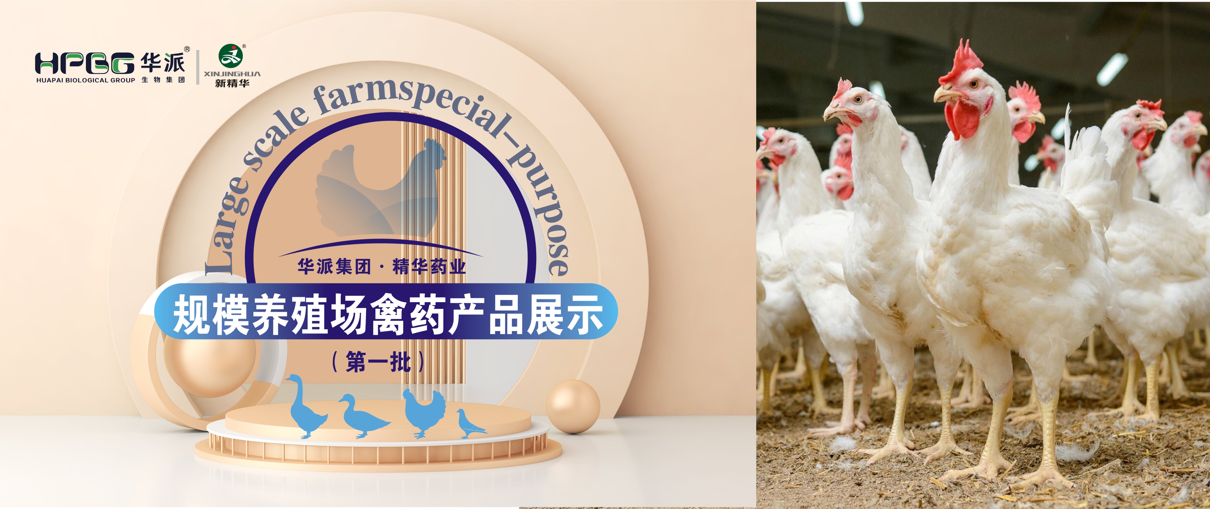 规；；；吵∽ㄓ | 华派集团·鸿运国际药业规；；；吵∏菀┎氛故荆ǖ谝慌